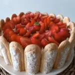 Charlotte aux fraises